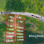 Aerial map of residential lots for sale near Orange Walk Town along Philip Goldson Highway Belize