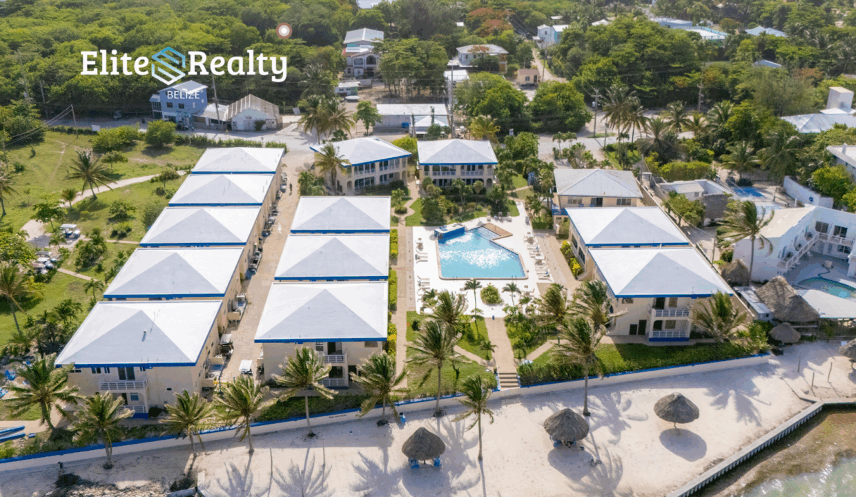 ELITE Royal Palm 12B (7)