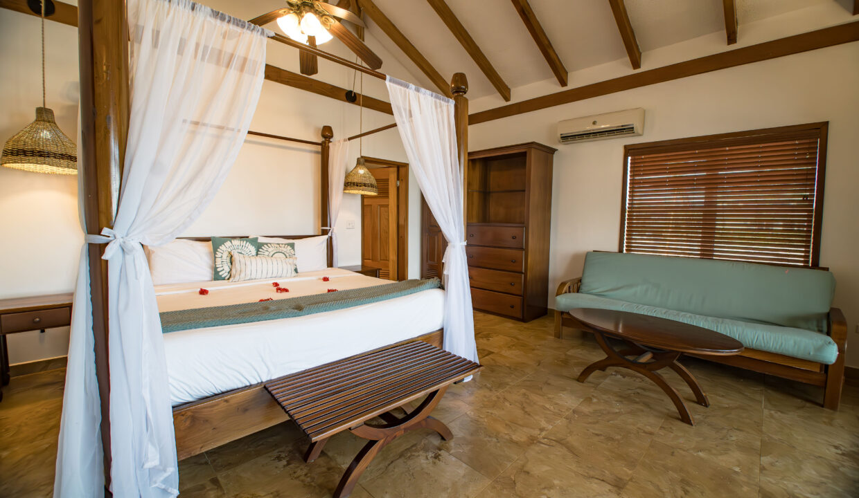 P1170838-Enhanced-NR