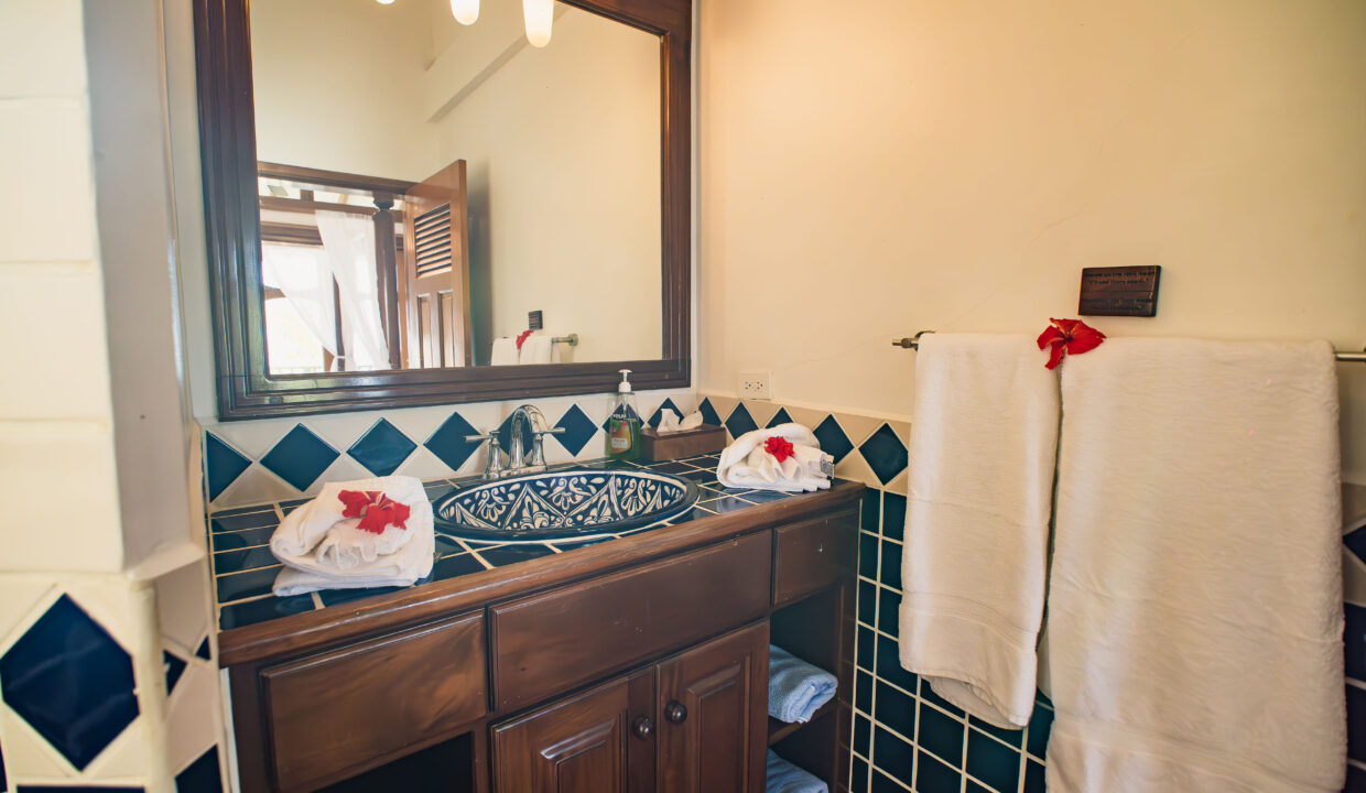 Custom Bathroom Vanity With Decorative Sink And Mirror At Hopkins Bay Resort Belize Luxury Caribbean Villa Interior