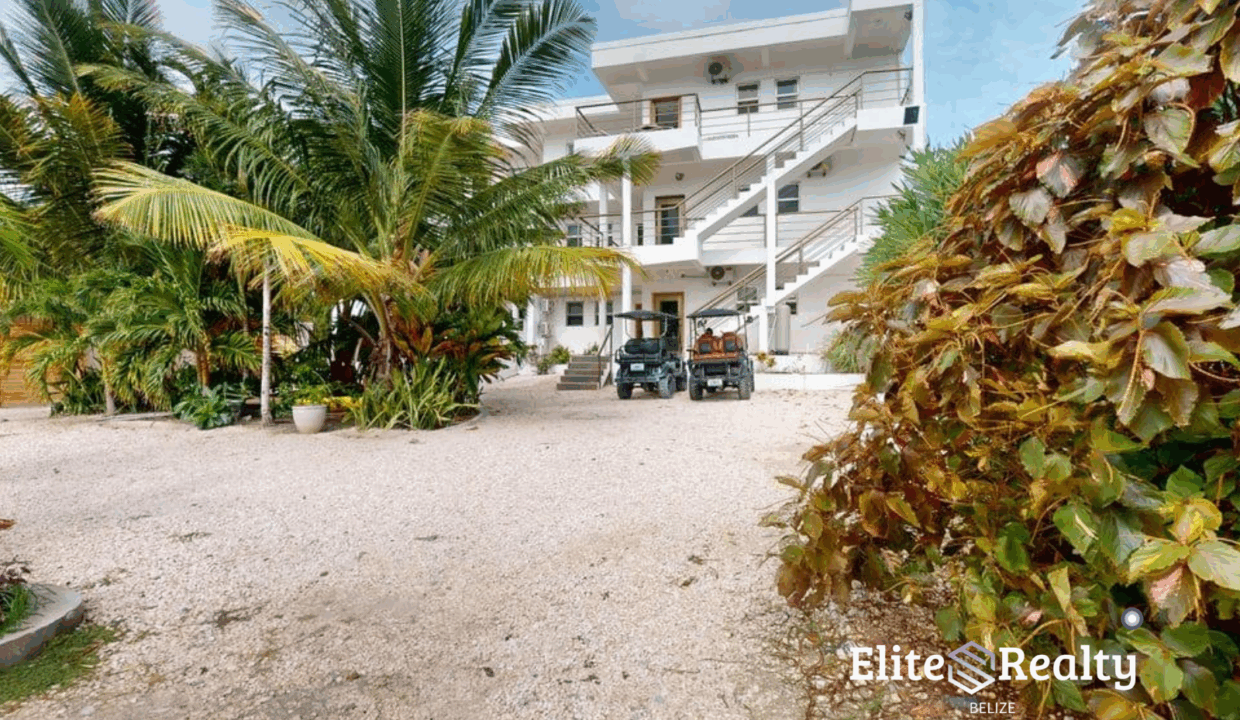 Exterior View Of Blue Water Beach Resort With Palm Trees And Parking Area Ambergris Caye Belize