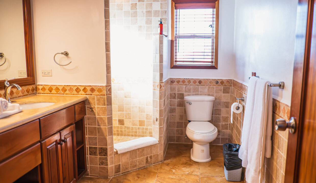Full Bathroom With Walk In Shower And Vanity At Hopkins Bay Resort Belize Luxury Caribbean Villa Interior