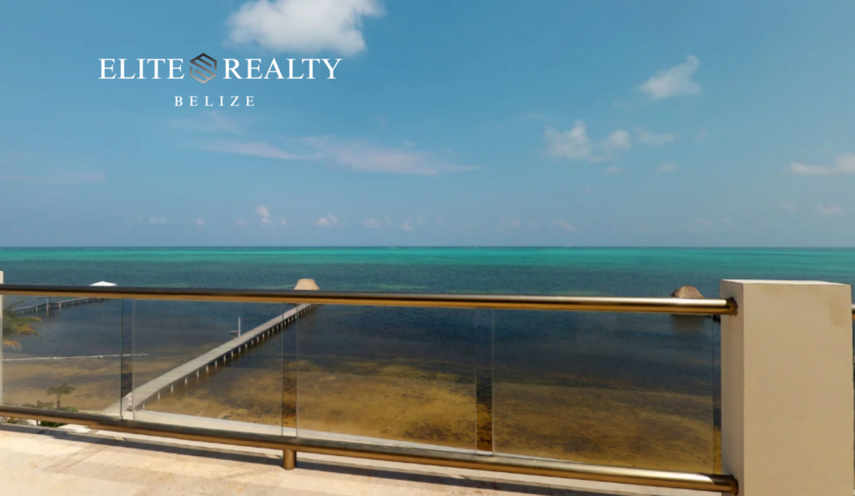 Luxurious Oceanfront Penthouse (3)