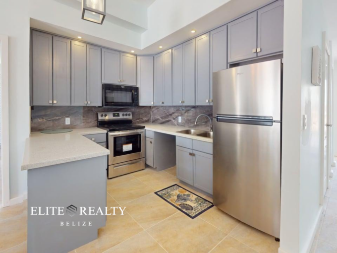 Modern kitchen with stainless steel appliances and quartz countertops in beachfront condo at Blue Water Beach Resort San Pedro Ambergris Caye Belize