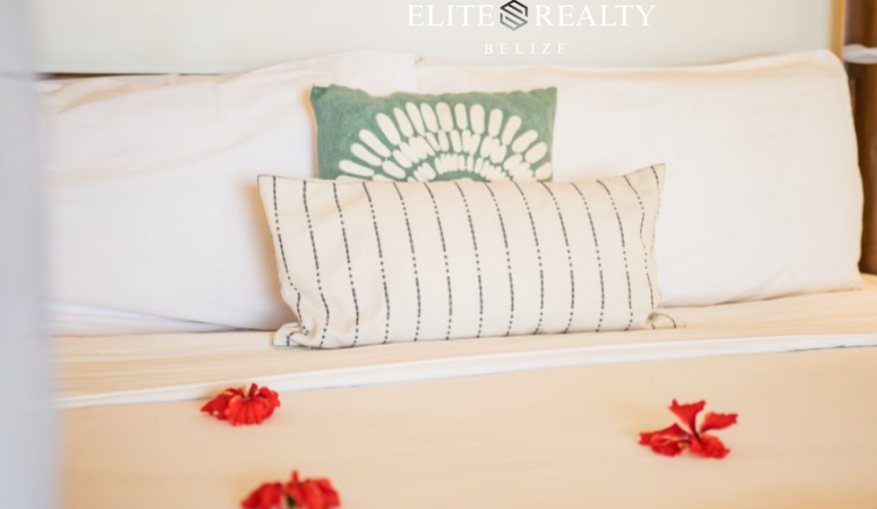 Hopkin Bay - Beachfront Villa for Sale (10)