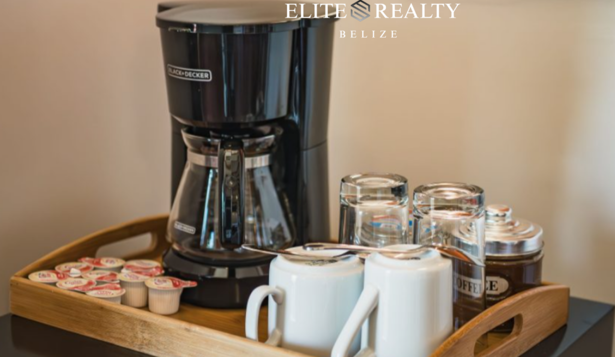 Hopkin Bay - Beachfront Villa for Sale (8)