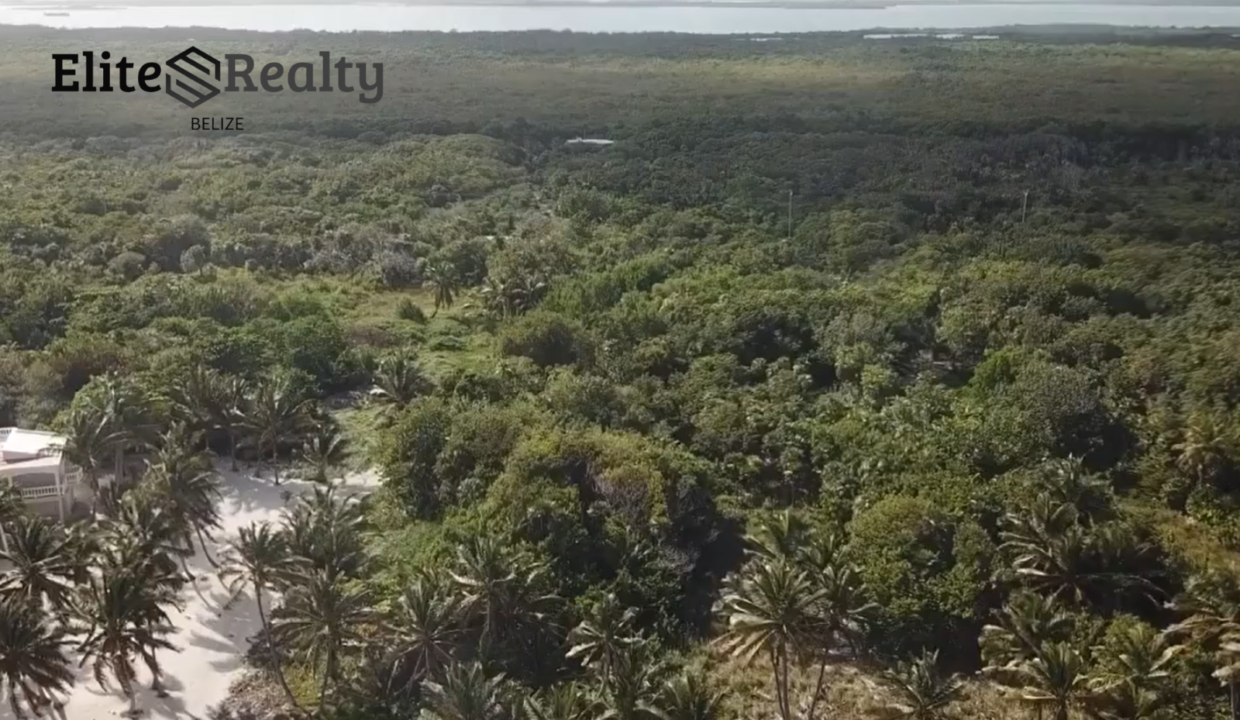 Price Reduced! Palmero Point - Beechview Lot (North of Ambergris Caye)