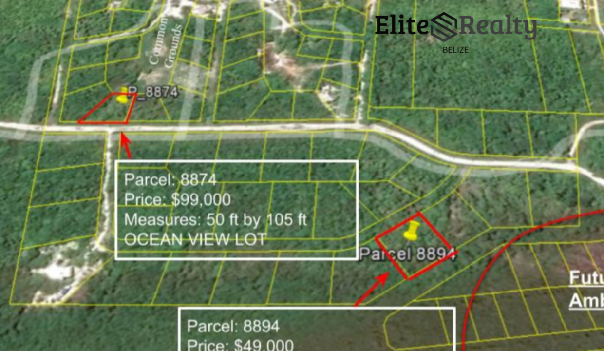 Price Reduced! Prime Lot for Sale Next to Ambergris Caye Future Town (3)