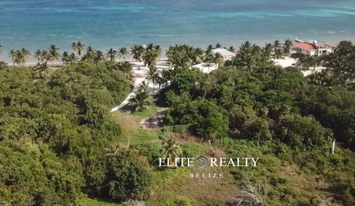 Aerial View Of Jungle Lot Near Caribbean Sea And Beach At Palermo Point Ambergris Caye Belize