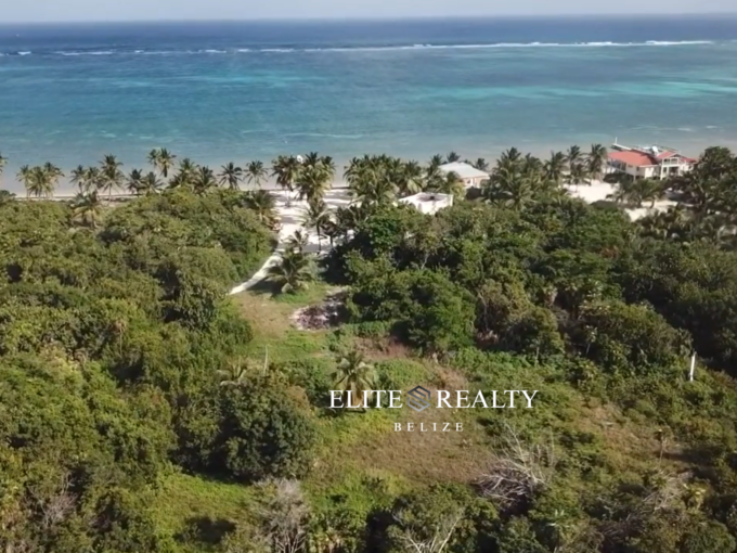 Aerial view of jungle lot near Caribbean Sea and beach at Palermo Point Ambergris Caye Belize