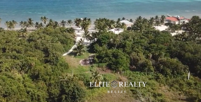 Aerial view of jungle lot near Caribbean Sea and beach at Palermo Point Ambergris Caye Belize