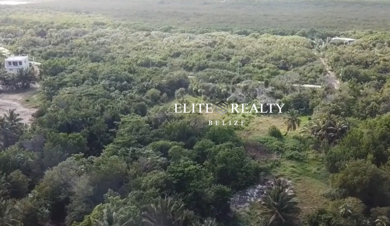 Aerial View Of Jungle Lot Near Palermo Point Beach Club Ambergris Caye Belize