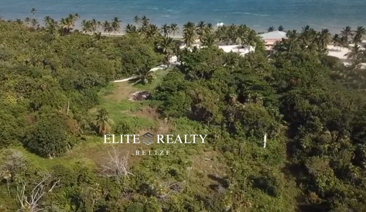 Aerial View Of Jungle Lot With Beach Access And Caribbean Sea At Palermo Point Ambergris Caye Belize