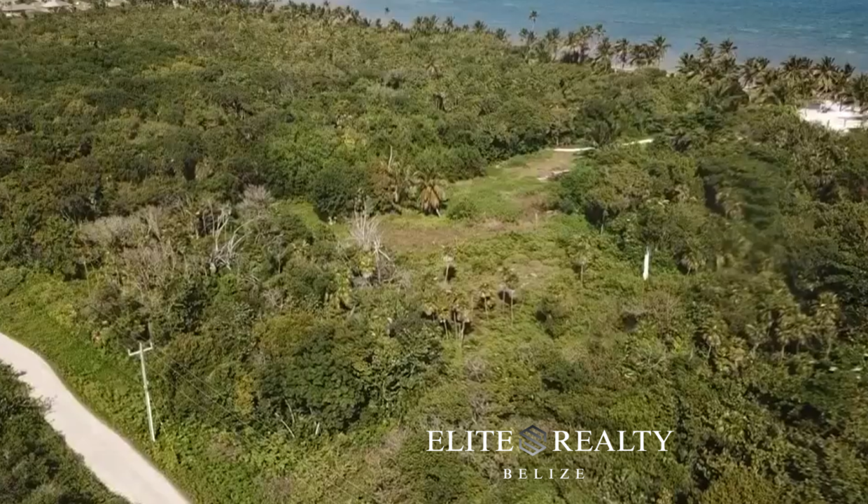 Aerial View Of Jungle Lot With Road Access Near Caribbean Sea Palermo Point Ambergris Caye Belize