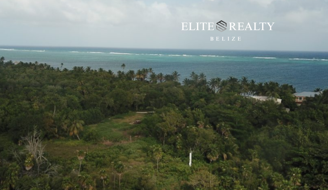 Aerial View Of Land For Sale Near Beachfront In Ambergris Caye Belize