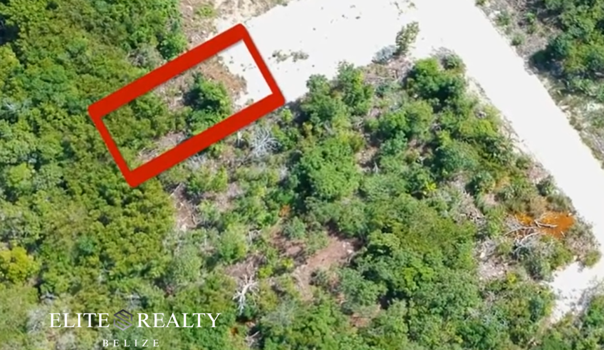 Build Ready Lot Outlined Red Boundary Near Road Ambergris Caye Belize Secret Beach Area Land Fro Sale