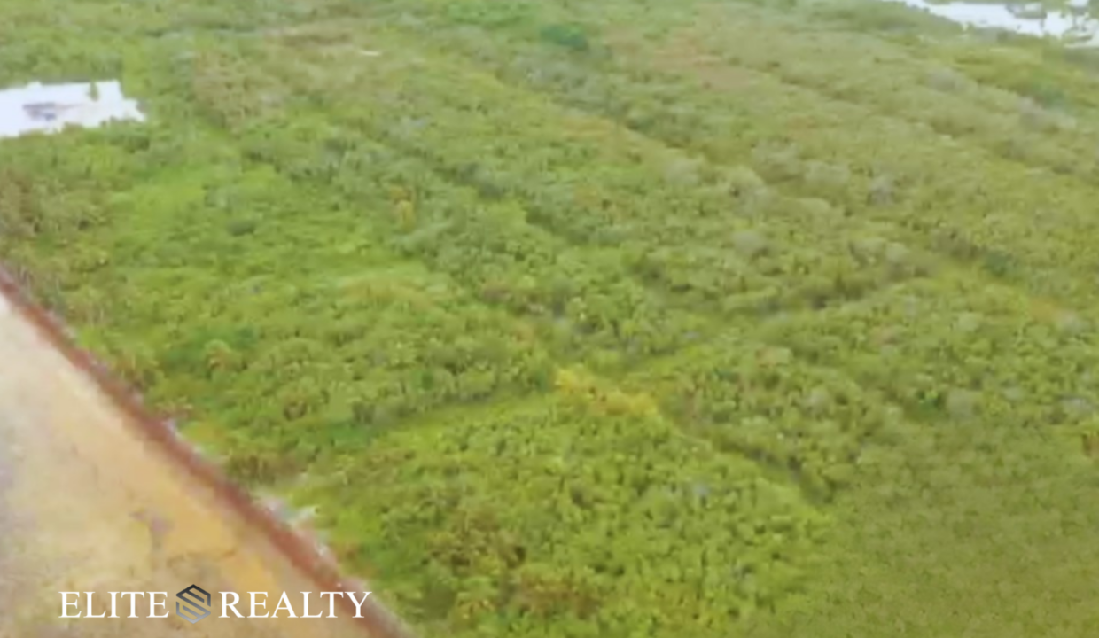 Palm Bay Club Lot For Sale In San Pedro Belize On Ambergris Caye Prime Investment Land Near Beachfront And Lagoon