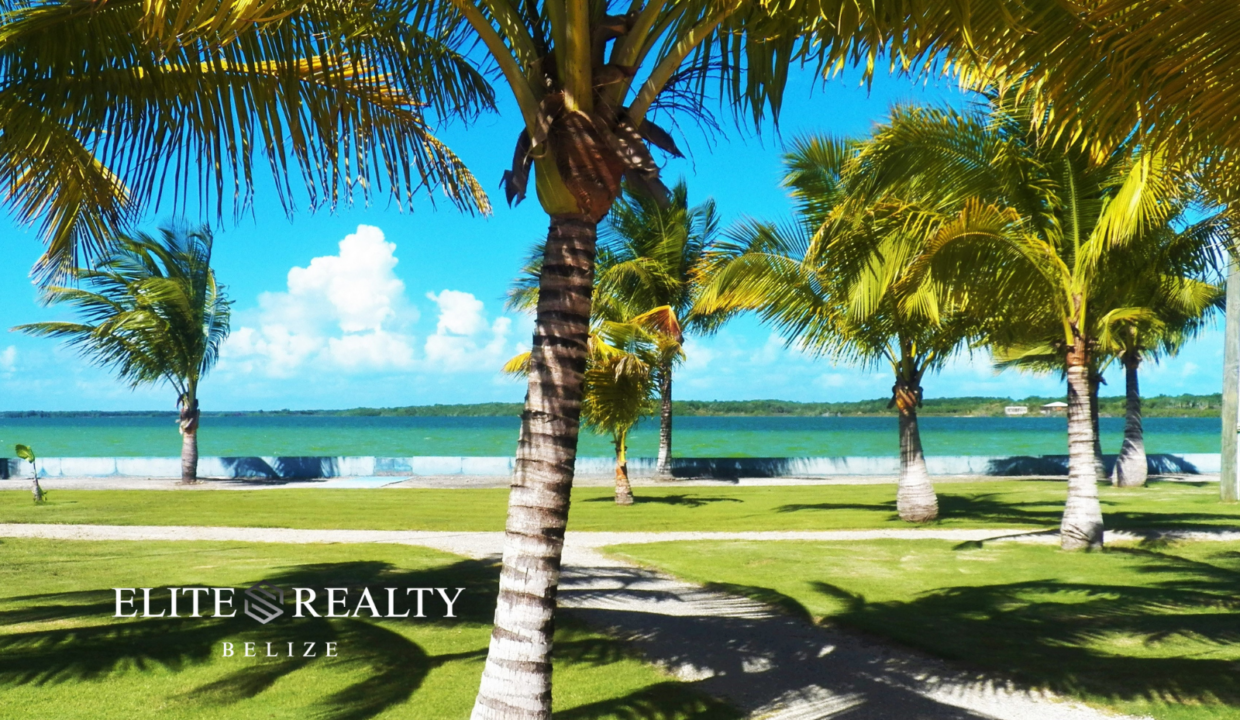 Palm Trees And Waterfront Views Along Four Mile Lagoon At Tarpon Cove Estates In Corozal Belize