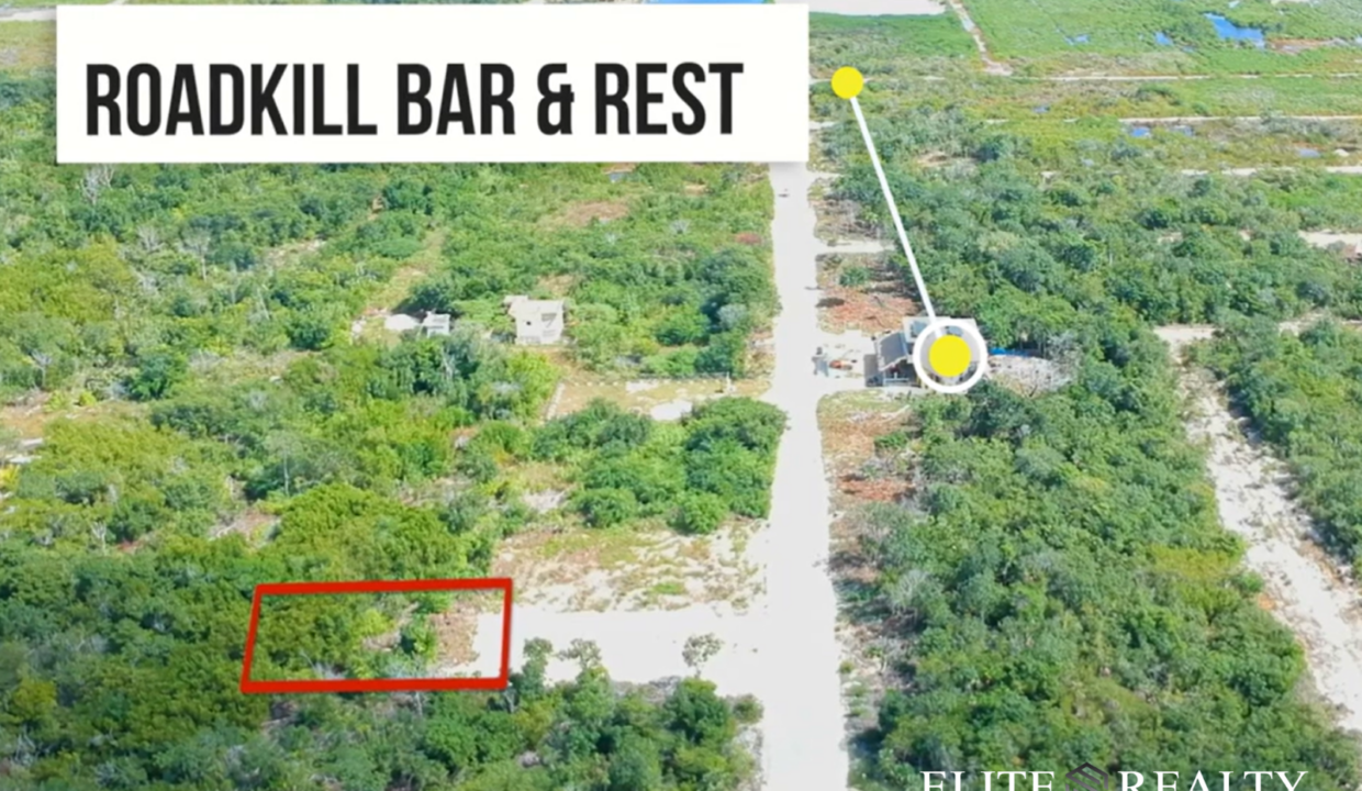 Residential Lot Near Roadkill Secret Beach Ambergris Caye Belize Aerial Showing Road And Nearby Landmark