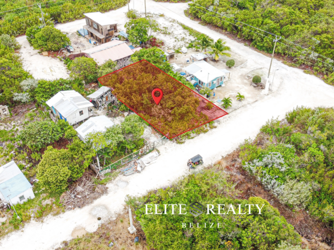 50x90 residential lot for sale in Heredia Subdivision, San Pedro Belize